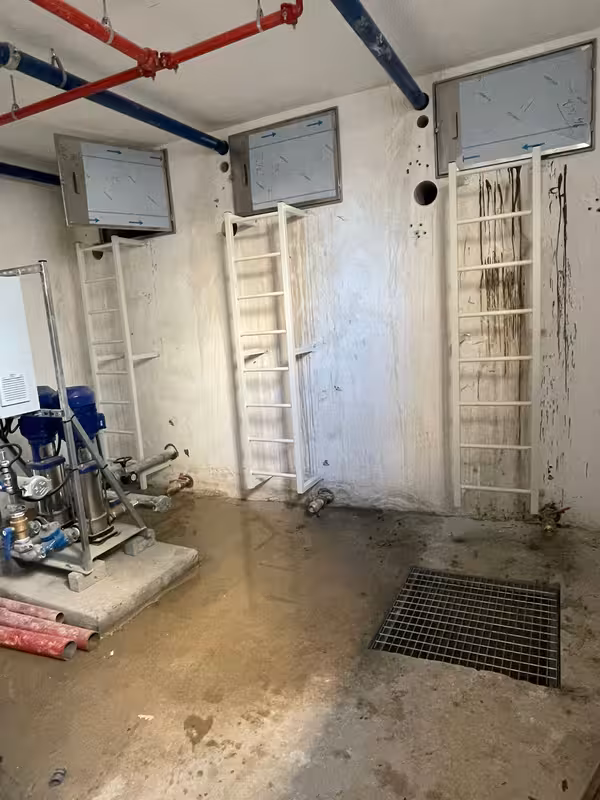 סולמות עליה לגג - תמונה 5